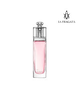 Perfume Dior Addict Eau Fraiche
